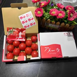 Amela 静冈高糖度番茄日本静冈水果番茄似品种国产西红柿