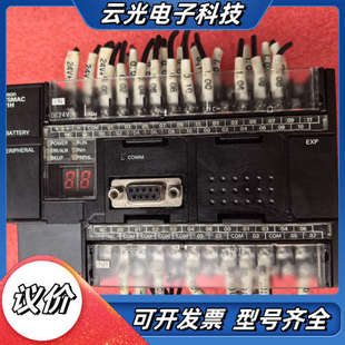 图片 DPLC 功能议价 X40DT CP1H