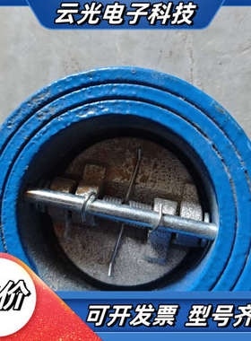 对夹式止回阀，蓝色铸铁，DN50，PN16，现货议价