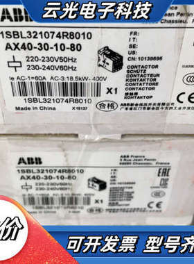 1SBL321074R8010议价