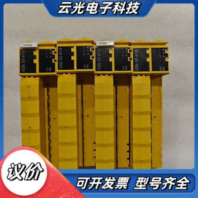 贝加莱X20cSO4110安全模块，奥地利原产，型号DD84议价