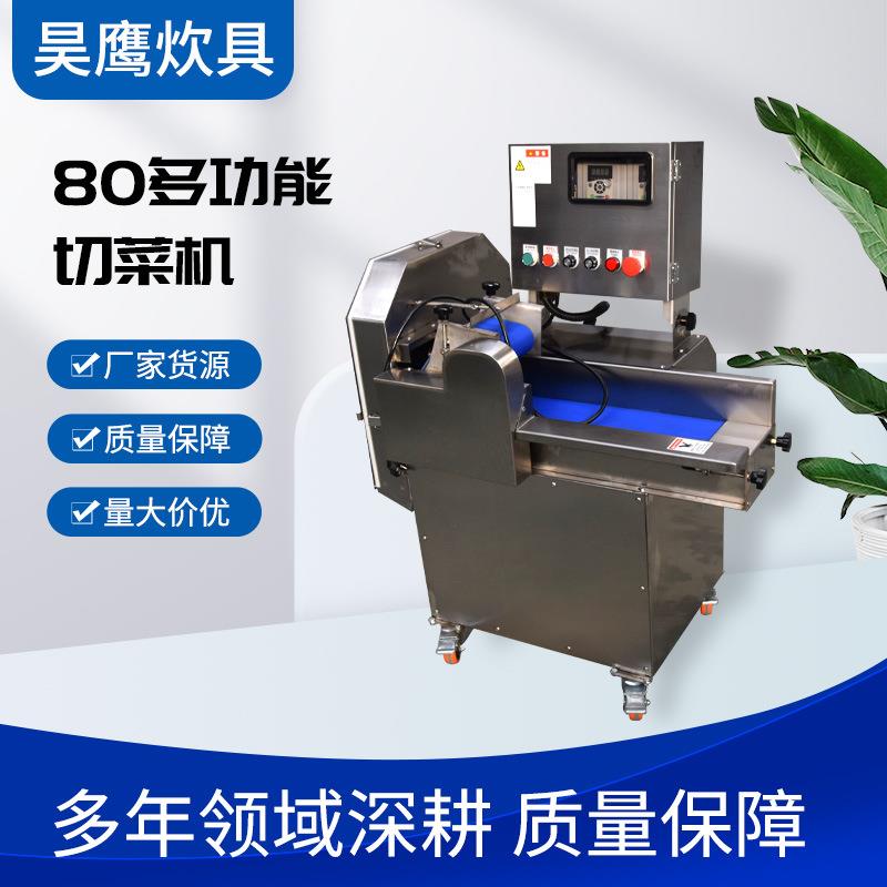 HY80多功能切菜机自动切酸菜切豆角机芹菜包菜切丝厂家现货切菜机