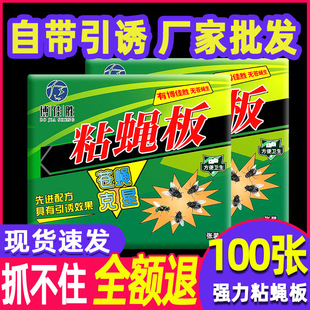 苍蝇贴强力粘苍蝇纸粘蝇板药沾蚊杀手捕捉器灭蝇子神器一扫光家用