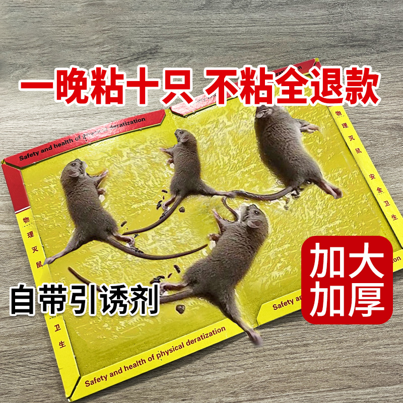 粘鼠板强力粘鼠贴家用灭鼠