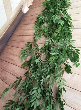 植物 家居装饰品叶 柳柳藤花摆假件墙创DJR意壁饰华庚