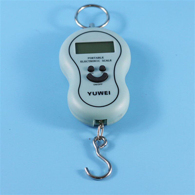 挂钩厨房手提电子秤便携勾称弹簧秤 手提称电子称 快递称40kg