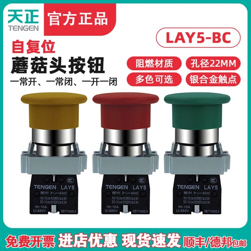 TENGEN天正LAY5BC35 BC45 BC31蘑菇头按钮开关NP2自复位红绿22孔
