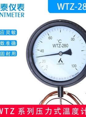 联泰 LIANTAI 压力式温度计 WTZ280 工业锅炉温度表 指针温度计