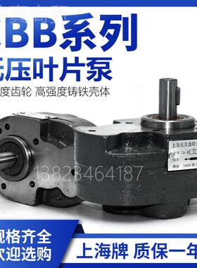 .lCB锯床润滑液压齿轮油泵CB-B25 B4 B6 B10B TSRB16l B20 B25