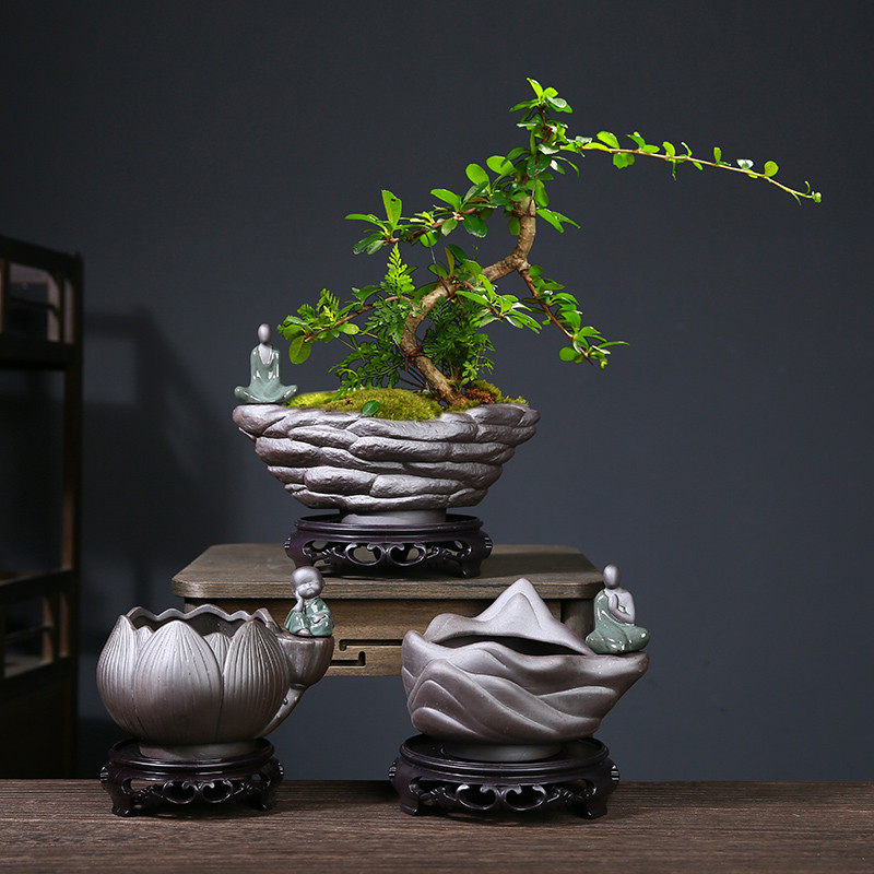 紫砂蝴蝶兰君子兰花盆透气陶瓷多肉兰草专用带托盘盆景盆栽盆家用,清洗/食品/商业设备,洗车机,淘宝优惠券,粉丝福利购,淘宝优惠卷