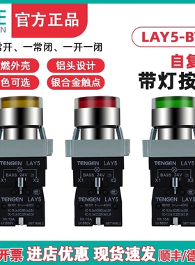 TENGEN天正LAY5带灯按钮LAY5BV6 BW3361 BW3462自复位平头LED灯