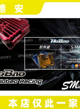 HoBao禾宝 林海LMAX/SMAX/FORCE 领程175 改装缸头盖散热盖引擎盖