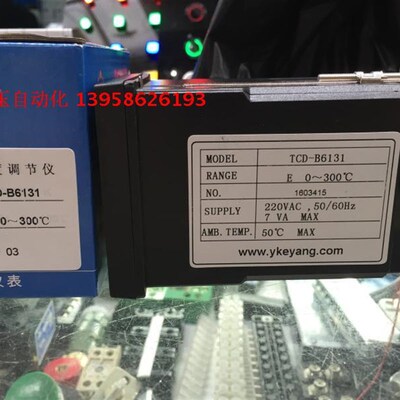 KEYANG科洋仪电 TCD-6000 TCD-B6131 E型 0-300 智能温度调节仪