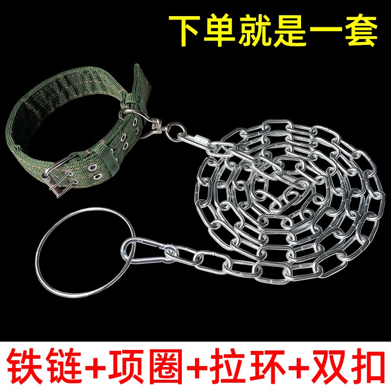 狗链子牵引绳防咬铁链大型犬狗狗项圈遛狗绳小型柯基金毛德牧土狗