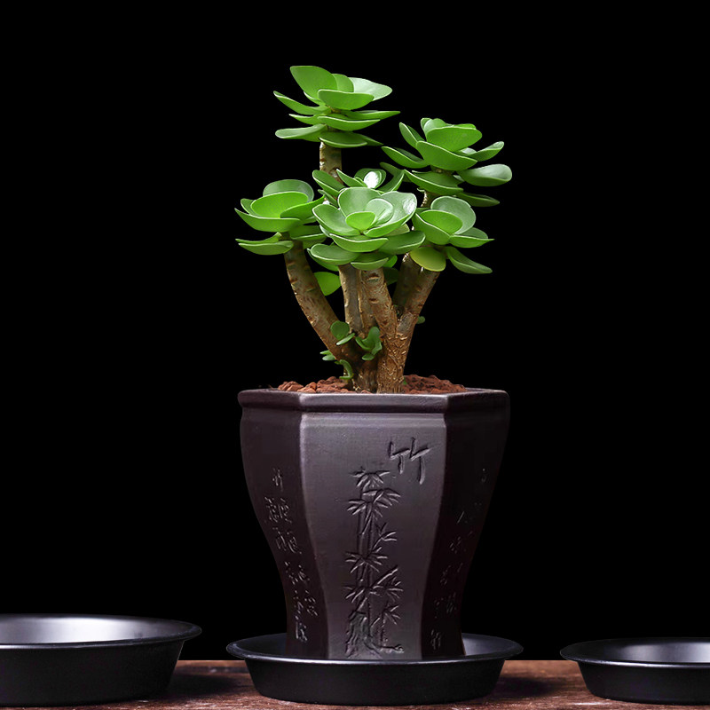 加厚耐用耐摔耐压花盆托盘塑料圆形底盘垫底花盘底托底盘接水盘