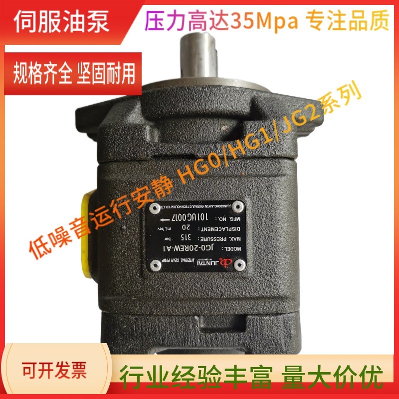 内啮合齿轮泵HG1-25/32/63高压油泵HG2-80/100/125替海特克齿轮泵