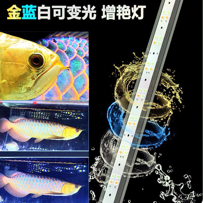 马印神灯古典金龙专用灯金蓝白灯水族专用灯鱼缸灯防水魔术灯