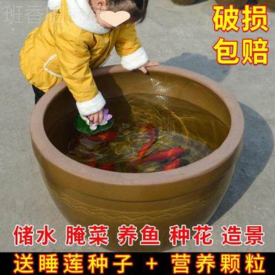 陶瓷家庭院睡莲土荷EAC花酱缸用腌水缸老式储缸水大号盆菜缸造景