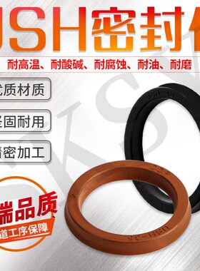 液压油封棕色氟橡胶 黑色丁腈橡胶 USH 10*18*5 Y型圈 U型圈