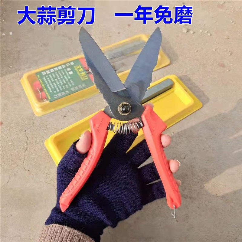 大蒜剪蔬果剪刀神器剪蒜头高硬度园林摘菜高硬度蒜须根茎农具剪刀