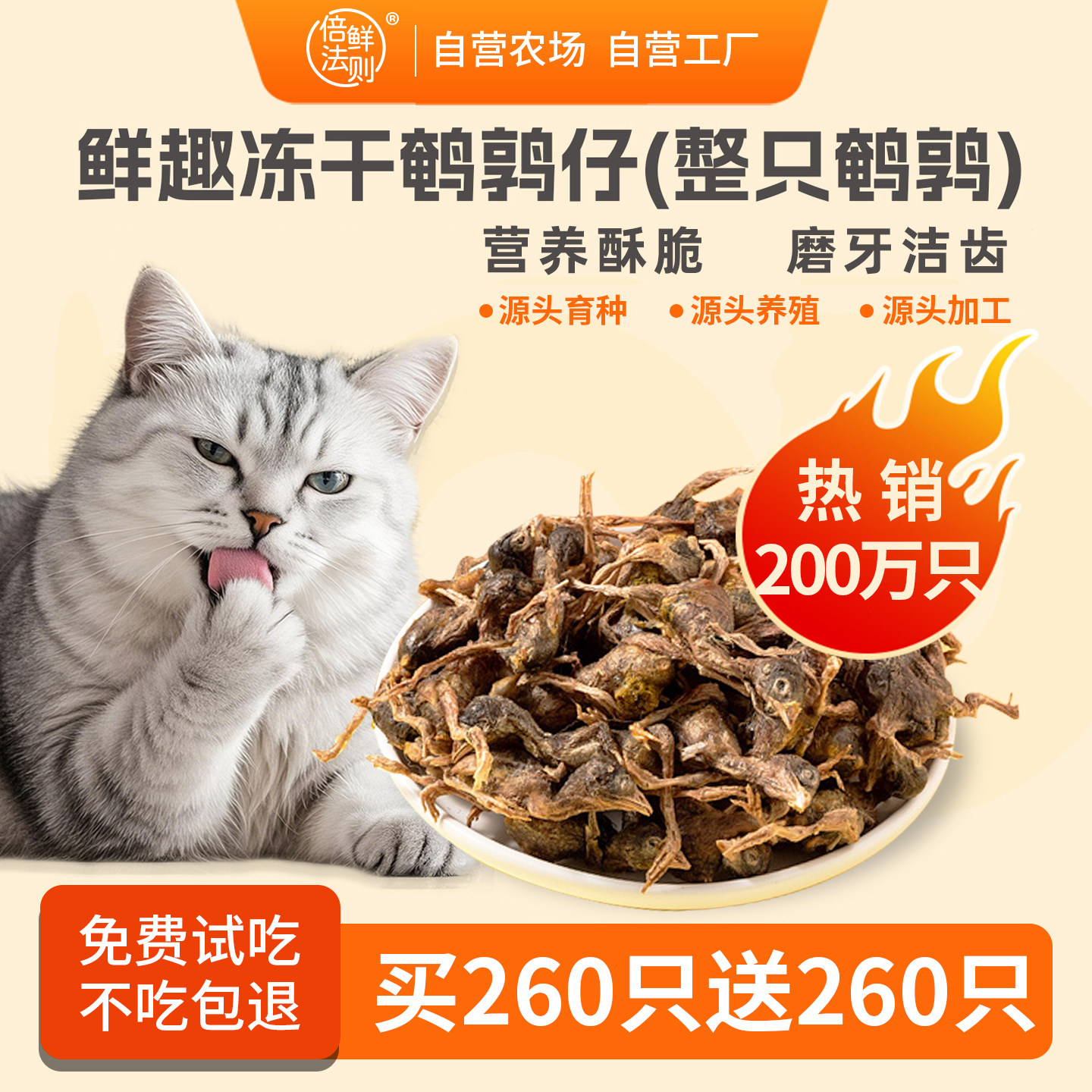 鹌鹑冻干生骨肉猫零食猫咪零食磨牙洁齿补钙宠物狗狗猫粮训练奖励,宠物/宠物食品及用品,猫冻干零食,淘宝优惠券,粉丝福利购,淘宝优惠卷