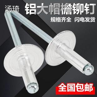 修门窗帽钉大帽平头半圆冒丁帽檐房子拉毛铆钉用 63mm装 拉加长