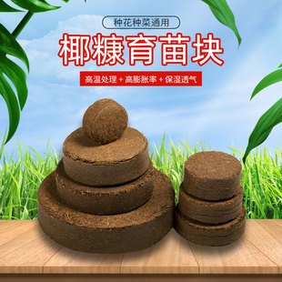 猫草种植椰丝压缩纯椰糠育苗块椰饼营养土椰土肥育苗种植土块