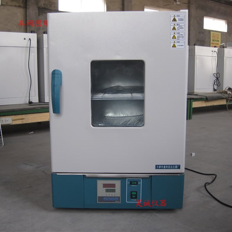 2022A 电热恒温干燥箱天津通利信达 汽车灯烘烤箱高温老化试验箱