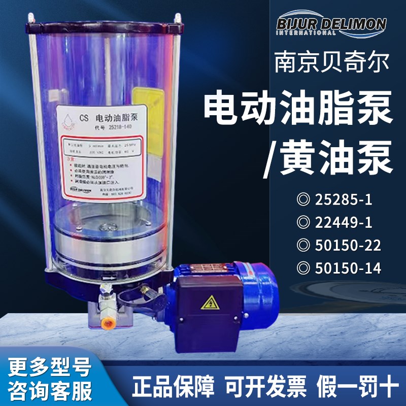 正品南京贝奇尔CS电动油脂泵25218干油黄油泵浓油泵22449/25285-1 - 实物图