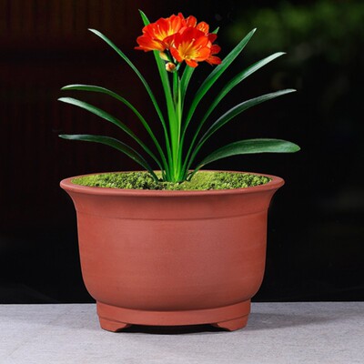 花盆厂家直销大口径陶土花盆特大号紫砂盆景花盆陶瓷花盆特价清仓