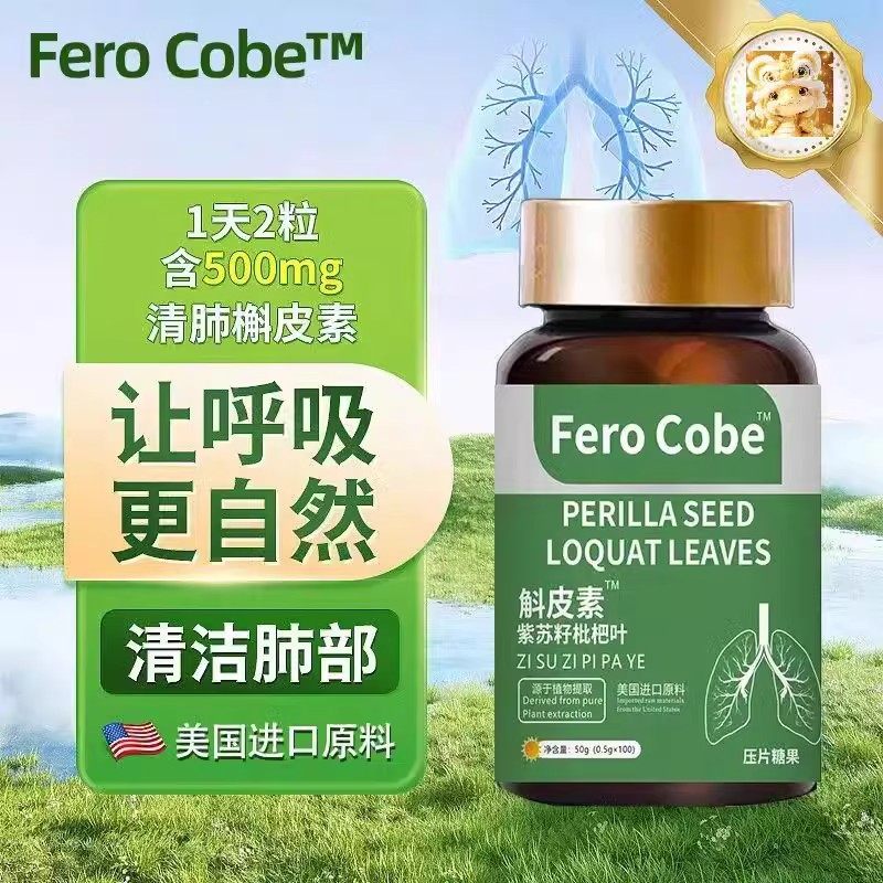 肺槲皮素紫苏籽枇杷叶