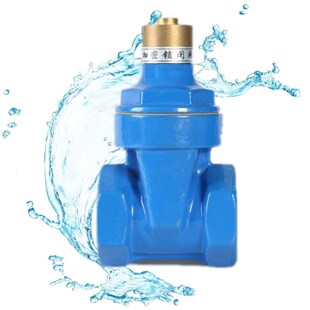 加密软密封闸阀 防盗水闸阀 带锁闸阀 磁铁钥匙 丝扣闸阀自来水阀