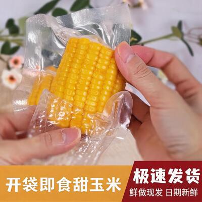 水果玉米半截玉米开袋即食玉米新鲜水果甜脆玉米段小玉米