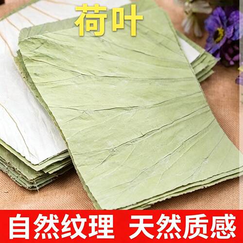 微山湖精品干荷叶糯米鸡荷叶饭粽子泡茶专用方形荷叶荷叶整张正宗