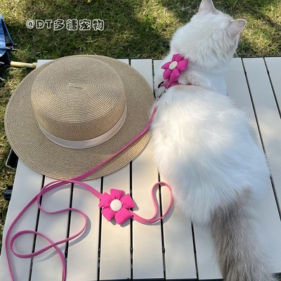 小奶猫茶杯犬超小码猫咪牵引绳可爱宠物外出防挣脱绳子遛狗遛猫绳