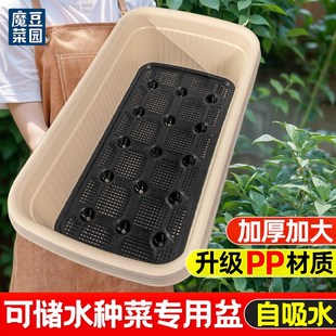种菜专用盆自吸水家用阳台种菜盆加大加厚蔬菜长方形塑料种植花盆