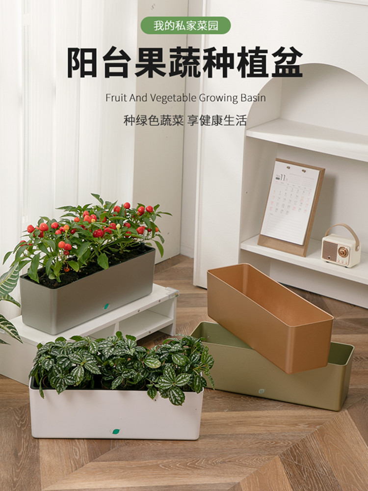 种菜盆种葱辣椒盆懒人自吸水长方形花槽种植箱阳台悬挂式花盆挂架