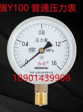 正品红旗Y100压力表 充油耐震YTN100 不锈钢Y100BFZ抗振016mpa