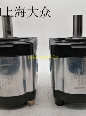 SDH上海大众齿轮泵CBTt-F310F3P7304306314316325320液压泵油泵