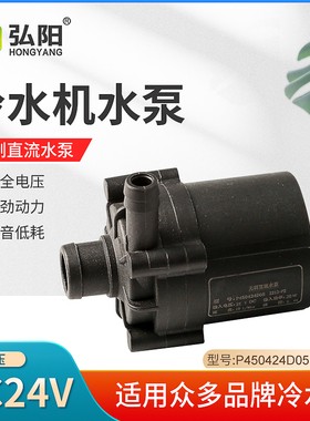 无刷直流水泵DC24V无刷电机30W小水泵P450424D05冷水机专用水泵