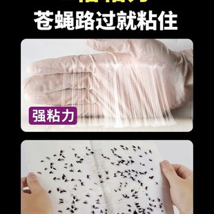 维康苍蝇贴加大强力粘苍蝇纸板灭蝇诱杀蝇蚊子捕捉夏天家用一扫光