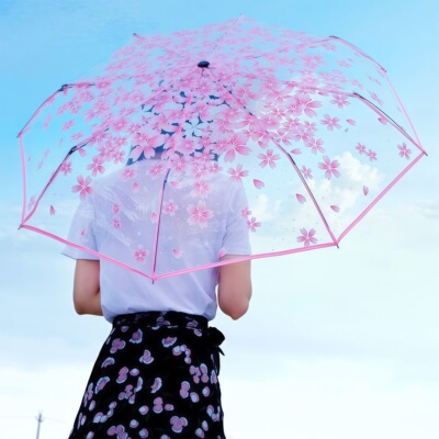 创意樱花透明自动折叠雨伞