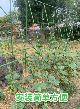爬藤架子花支架户外葡萄架庭院种菜架豆角黄瓜攀爬杆花园月季花架