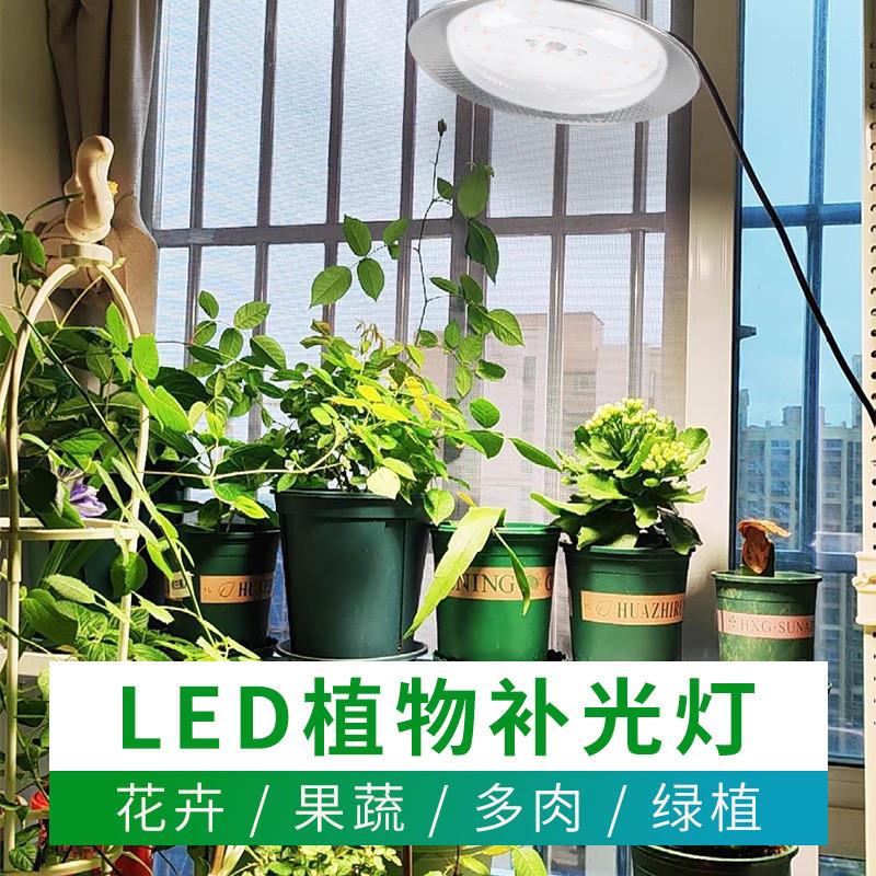 全光谱仿阳光灯太阳光蔬菜草莓花卉育苗室内多肉植物灯植物补光灯