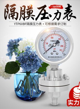 隔膜压力表YTP60BF 不锈钢耐震螺纹连接M14*1.5 2 耐腐蚀