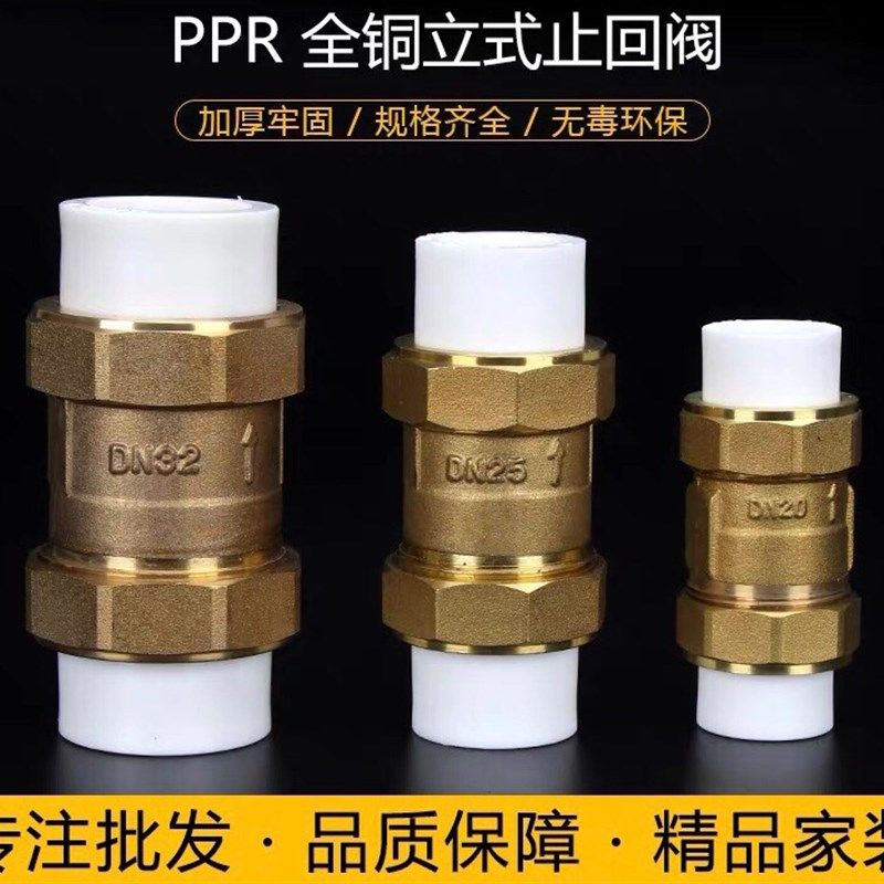 阀门PPR止回阀4分20逆止阀6分25立式单向阀1寸32热熔水管水表