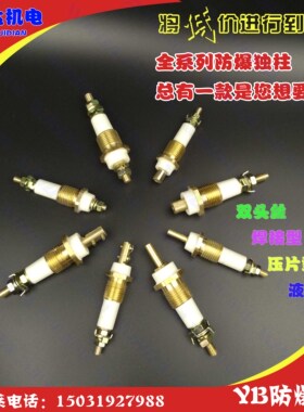 防爆纯铜接线端子柱 YB2/YB防爆电机接线柱 M5-M16 防爆柱 独柱