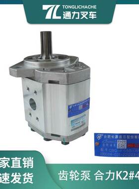 叉车配件 齿轮油泵 液压油泵 高压泵CBQ-F555-AFHL 合力4.5T长源