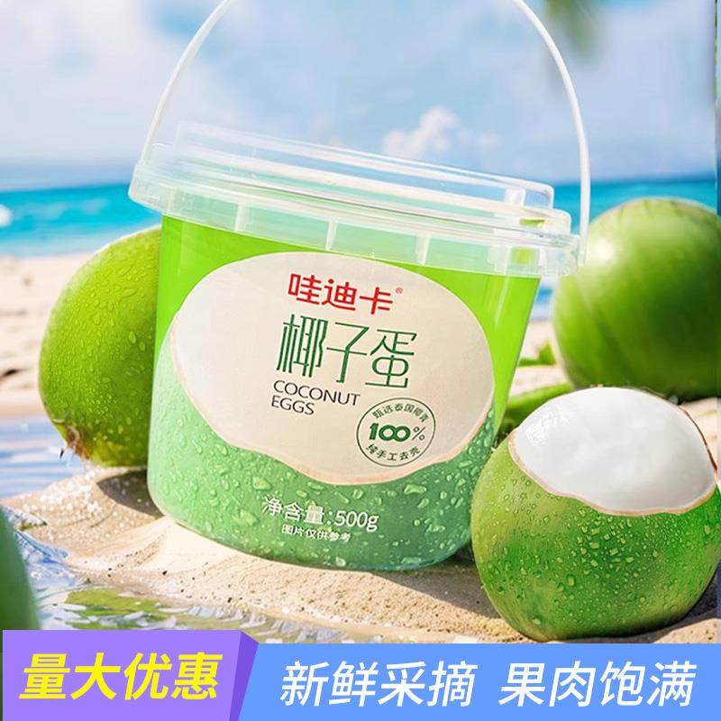 哇迪卡泰国椰子蛋500g桶装网红鲜挖椰子椰汁椰肉两吃椰青甜品饮料