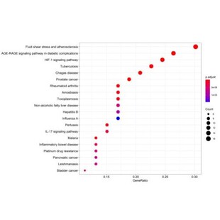 单细胞测序数据分析,代谢组学,蛋白组学数据分析 代码修改&出售